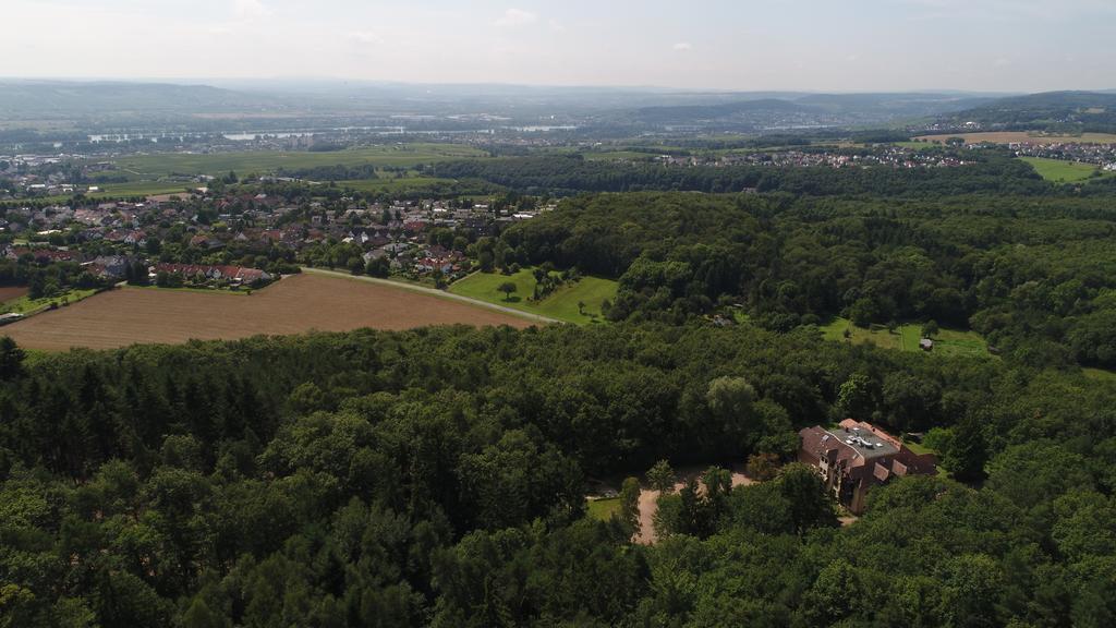 Bb Haus Neugebauer Garni Hotel Geisenheim Eksteriør billede